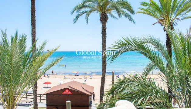 APARTMENT - Resale - TORREVIEJA -
                Playa del Cura