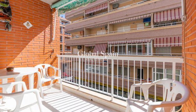 APARTMENT - Resale - TORREVIEJA -
                Playa del cura