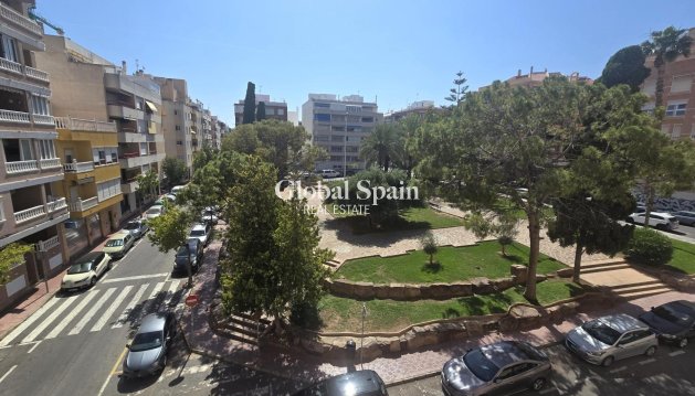 APARTMENT - Resale - TORREVIEJA -
                Playa del Cura