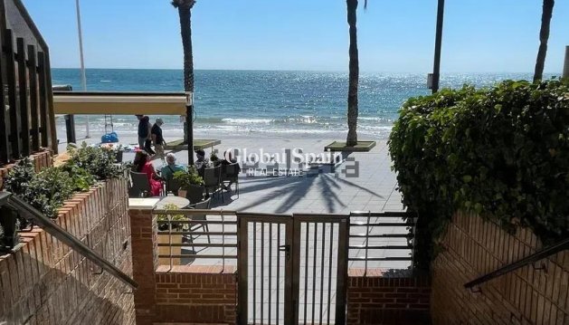 APARTMENT - Resale - TORREVIEJA -
                Playa del Cura
