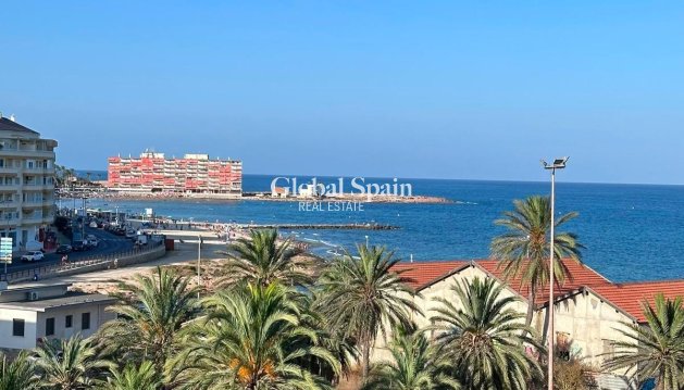 APARTMENT - Resale - TORREVIEJA -
                Playa del Cura