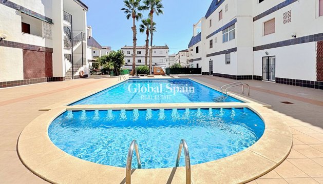 Apartment - Resale - TORREVIEJA -
                Rocio del Mar