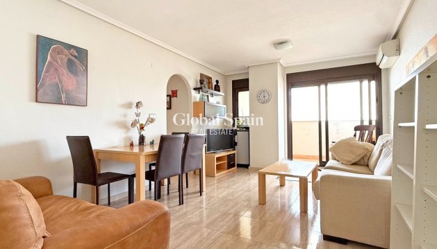APARTMENT - Resale - TORREVIEJA -
                Torrevieja
