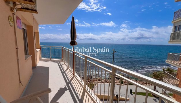 APARTMENT - Resale - TORREVIEJA -
                Torrevieja