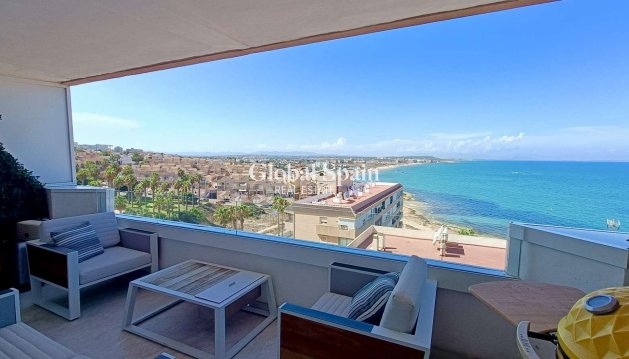 APARTMENT - Resale - TORREVIEJA -
                Torrevieja