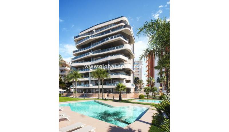 Appartamento - Nuova costruzione - Guardamar del Segura - PS-59980