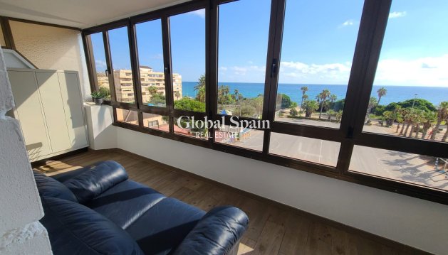 Appartement - Flat - Revente - Torrevieja -
                Torrevieja