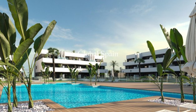 APPARTEMENT - Nouvelle construction - GUARDAMAR DEL SEGURA -
                EL RASO