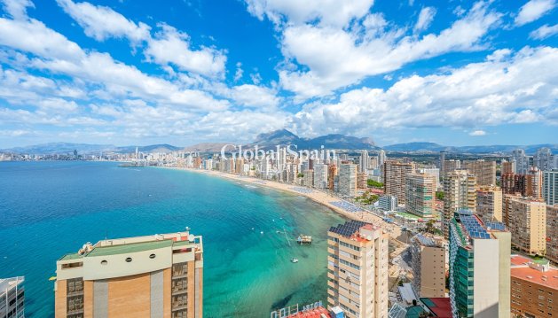 APPARTEMENT - Revente - BENIDORM -
                Levante