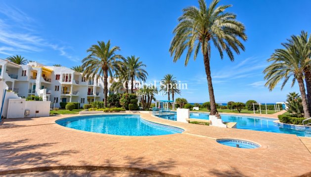 APPARTEMENT - Revente - DENIA -
                Les Marines - Las Marinas