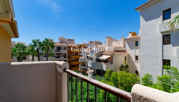 Appartement - Revente - PUNTA PRIMA -
                PUNTA PRIMA