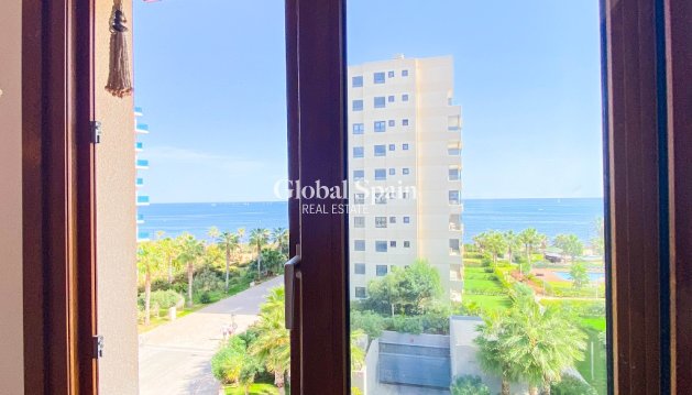 Appartement - Revente - PUNTA PRIMA -
                PUNTA PRIMA