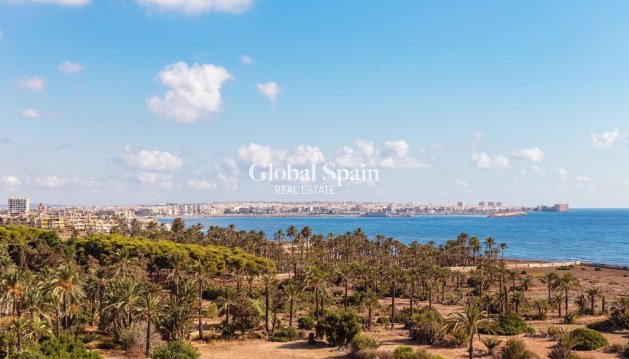 Appartement - Revente - PUNTA PRIMA -
                PUNTA PRIMA