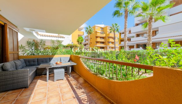 Appartement - Revente - PUNTA PRIMA -
                PUNTA PRIMA