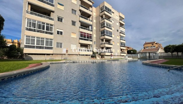 APPARTEMENT - Revente - TORREVIEJA -
                Aguas Nuevas