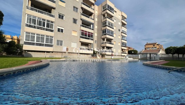 APPARTEMENT - Revente - TORREVIEJA -
                Costa Blanca