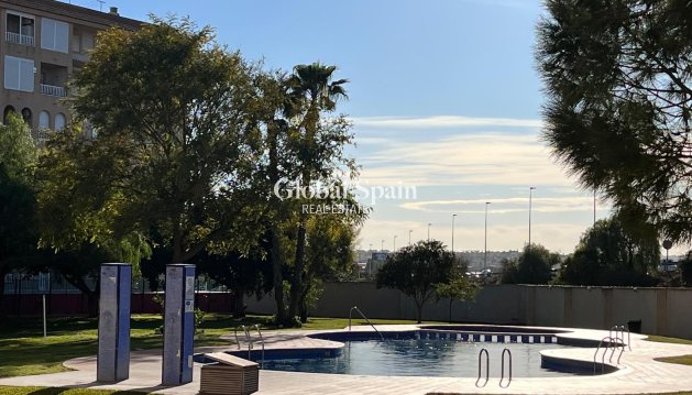 APPARTEMENT - Revente - TORREVIEJA -
                Costa Blanca