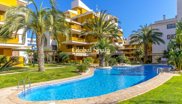 APPARTEMENT - Revente - TORREVIEJA -
                Costa Blanca
