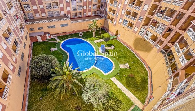 APPARTEMENT - Revente - TORREVIEJA -
                Parque de las Naciones