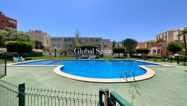 APPARTEMENT - Revente - TORREVIEJA -
                Torreblanca