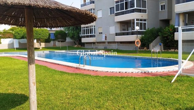 APPARTEMENT - Revente - TORREVIEJA -
                Torreblanca