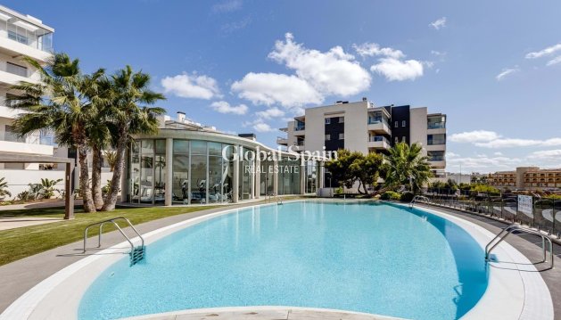 APPARTEMENT - Wederverkoop - LOS DOLSES -
                Costa Blanca