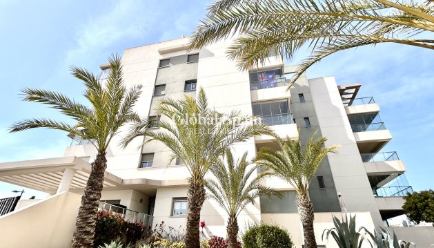 APPARTEMENT - Wederverkoop - LOS DOLSES -
                Inland
