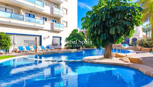 APPARTEMENT - Wederverkoop - ORIHUELA COSTA -
                Costa Blanca