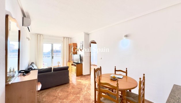 APPARTEMENT - Wederverkoop - TORREVIEJA -
                Center