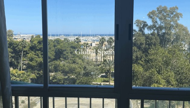 APPARTEMENT - Wederverkoop - TORREVIEJA -
                Costa Blanca