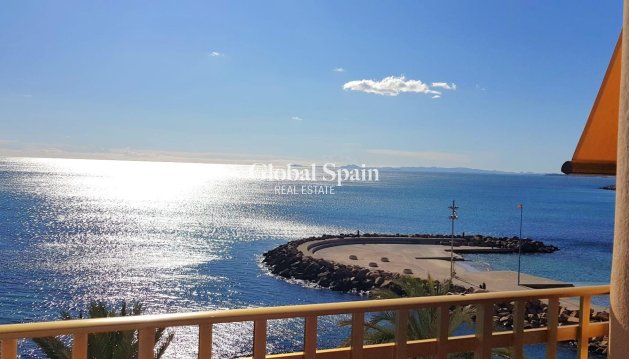 APPARTEMENT - Wederverkoop - TORREVIEJA -
                Estacion de autobuses