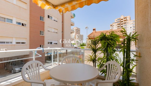 APPARTEMENT - Wederverkoop - TORREVIEJA -
                Nueva Torrevieja