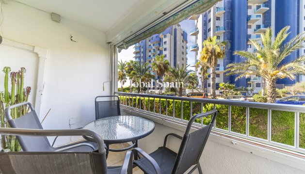 APPARTEMENT - Wederverkoop - TORREVIEJA -
                Rocio Del Mar