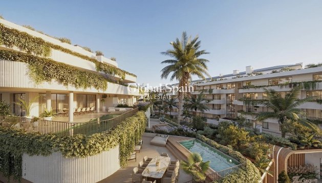 ÁTICO - Nueva construcción  - SAN PEDRO ALCÁNTARA -
                San Pedro De Alcantara