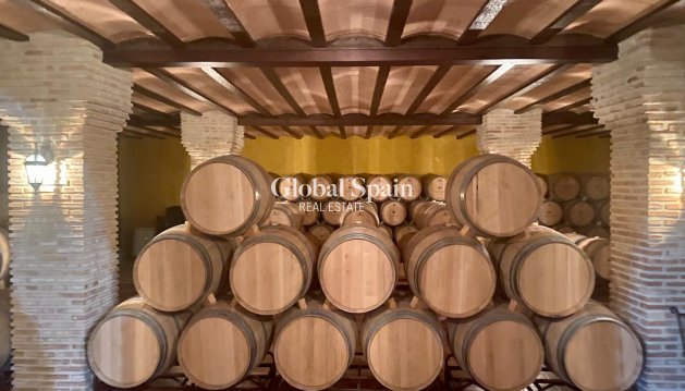 Bodega - Venta - Albacete -
                Albacete