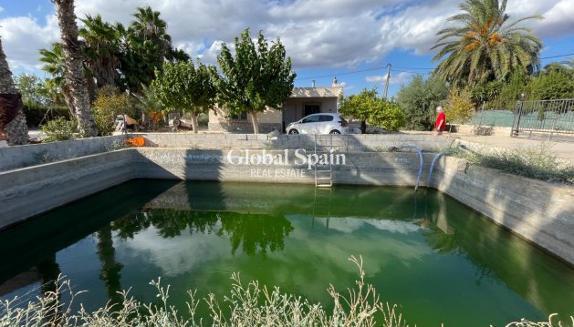 Chalet / Villa - Venta - CREVILLENTE -
                CREVILLENTE