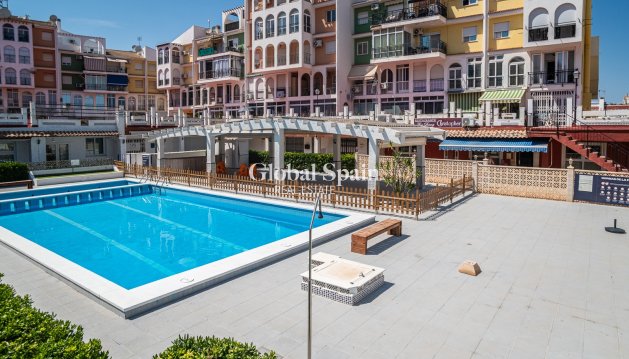 COMMERCIAL PROPERTY - Resale - TORREVIEJA -
                La Veleta