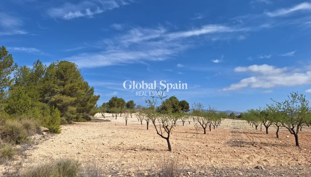 Grond - Resale - La Zarza -
                La Zarza