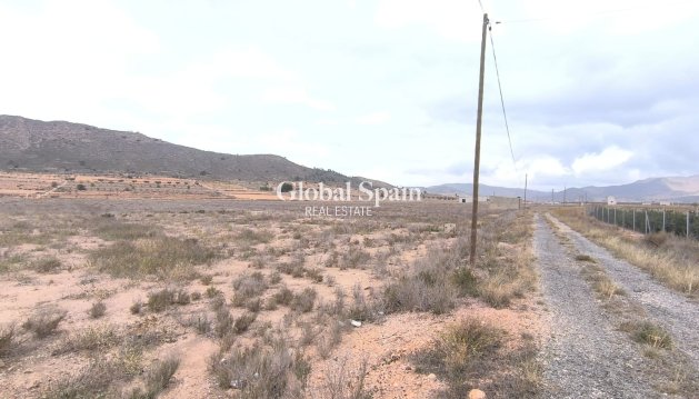 GROND - Wederverkoop - CAÑADA DE LA LEÑA -
                Inland