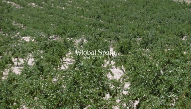 GROND - Wederverkoop - YECLA -
                Inland