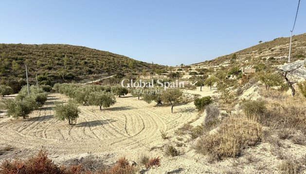 GRUNDSTÜCK - Wiederverkauf - RELLEU -
                Costa Blanca