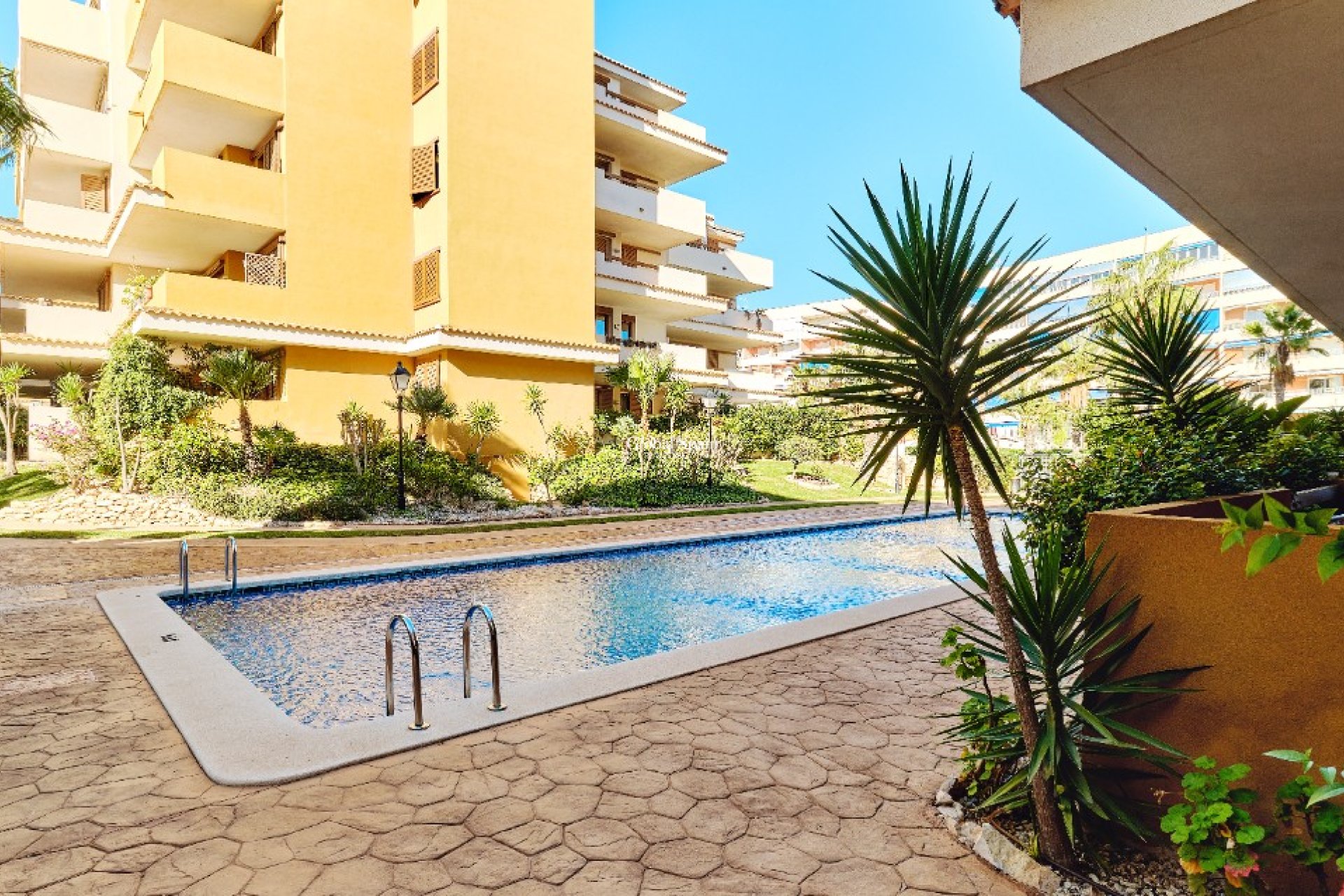 Korte termijn verhuur - Appartement -
PUNTA PRIMA - La Entrada