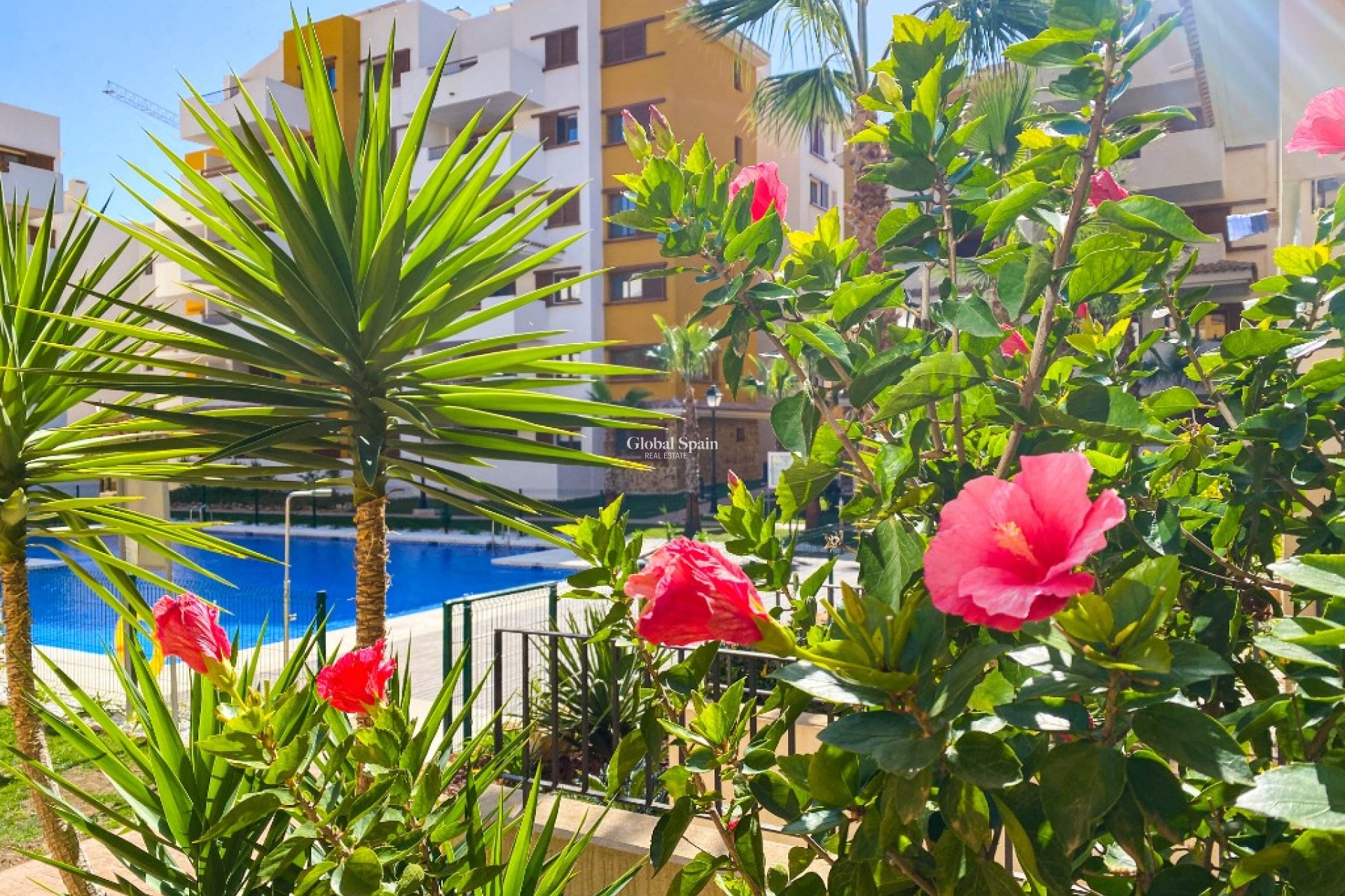 Kurzzeitmiete - Wohnung -
PUNTA PRIMA - La Recoleta