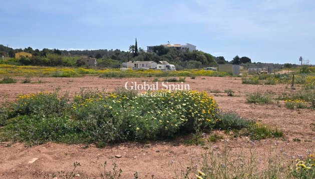 LAND - Resale - ALTEA -
                ALTEA