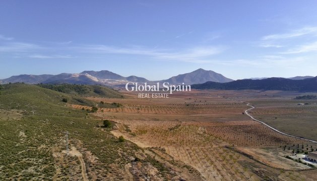 LAND - Resale - CAÑADA DEL TRIGO -
                Inland