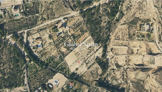 Land - Resale - CREVILLENTE -
                CREVILLENTE