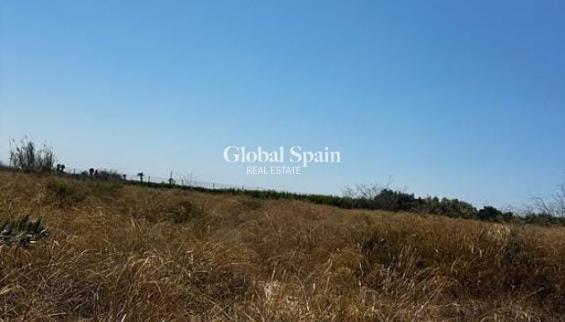 LAND - Resale - ELCHE -
                Costa Blanca