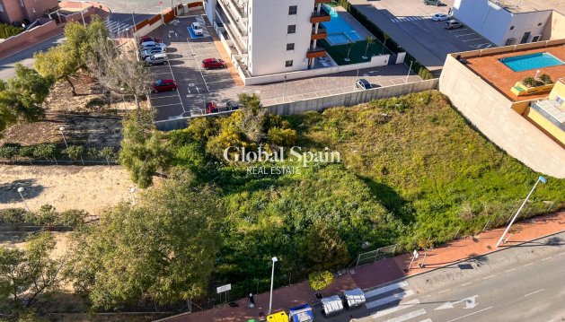LAND - Resale - GUARDAMAR DEL SEGURA -
                GUARDAMAR DEL SEGURA