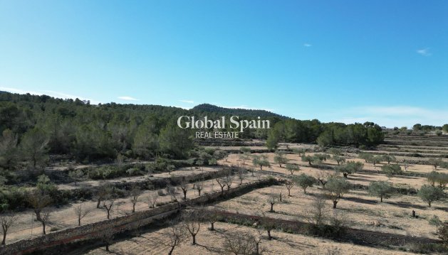 LAND - Resale - MONÓVAR -
                Monovar