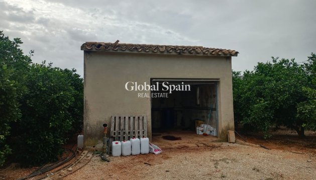 LAND - Resale - PEDREGUER -
                Pedreguer